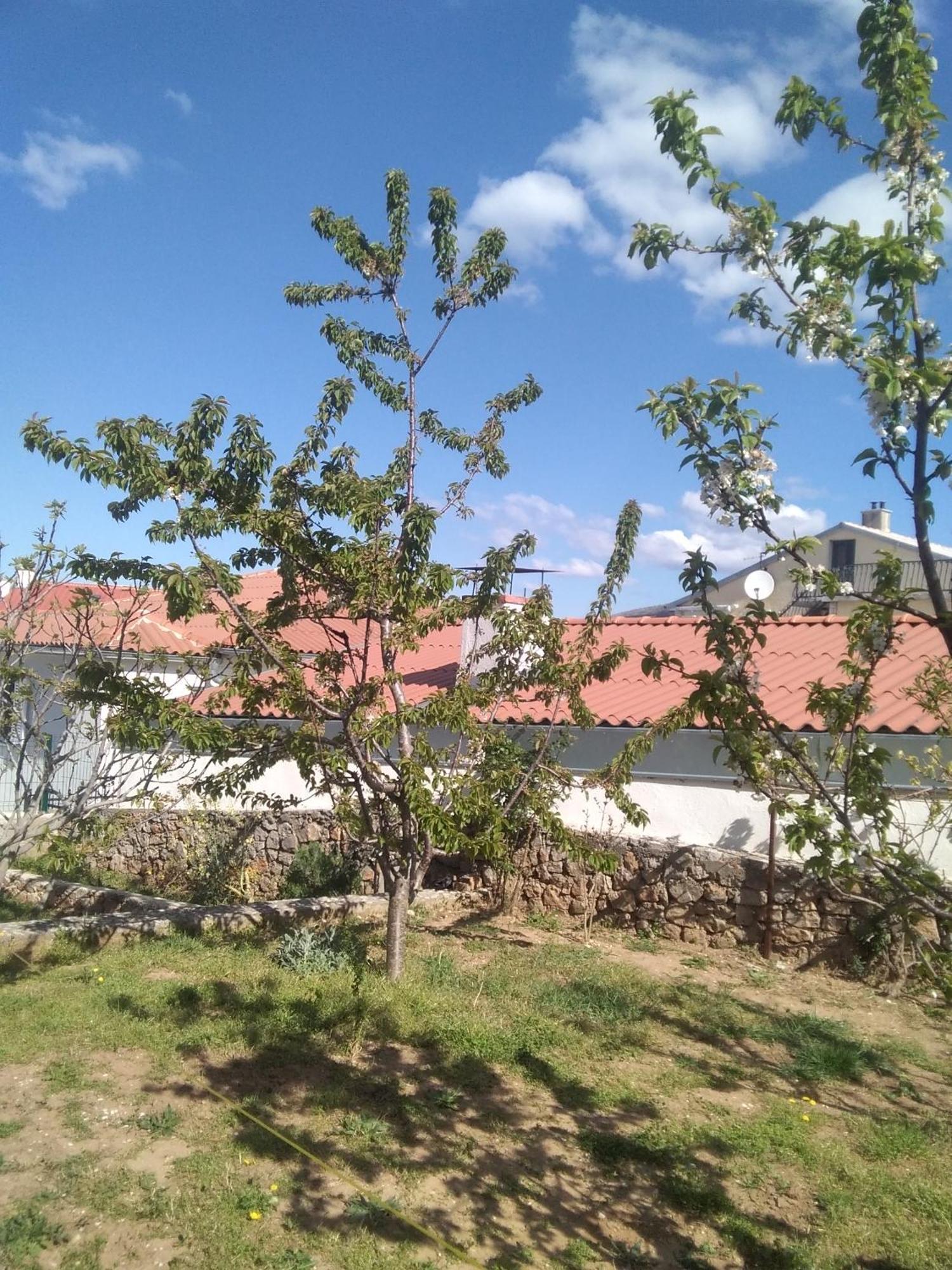 Guesthouse Martina Сень Экстерьер фото
