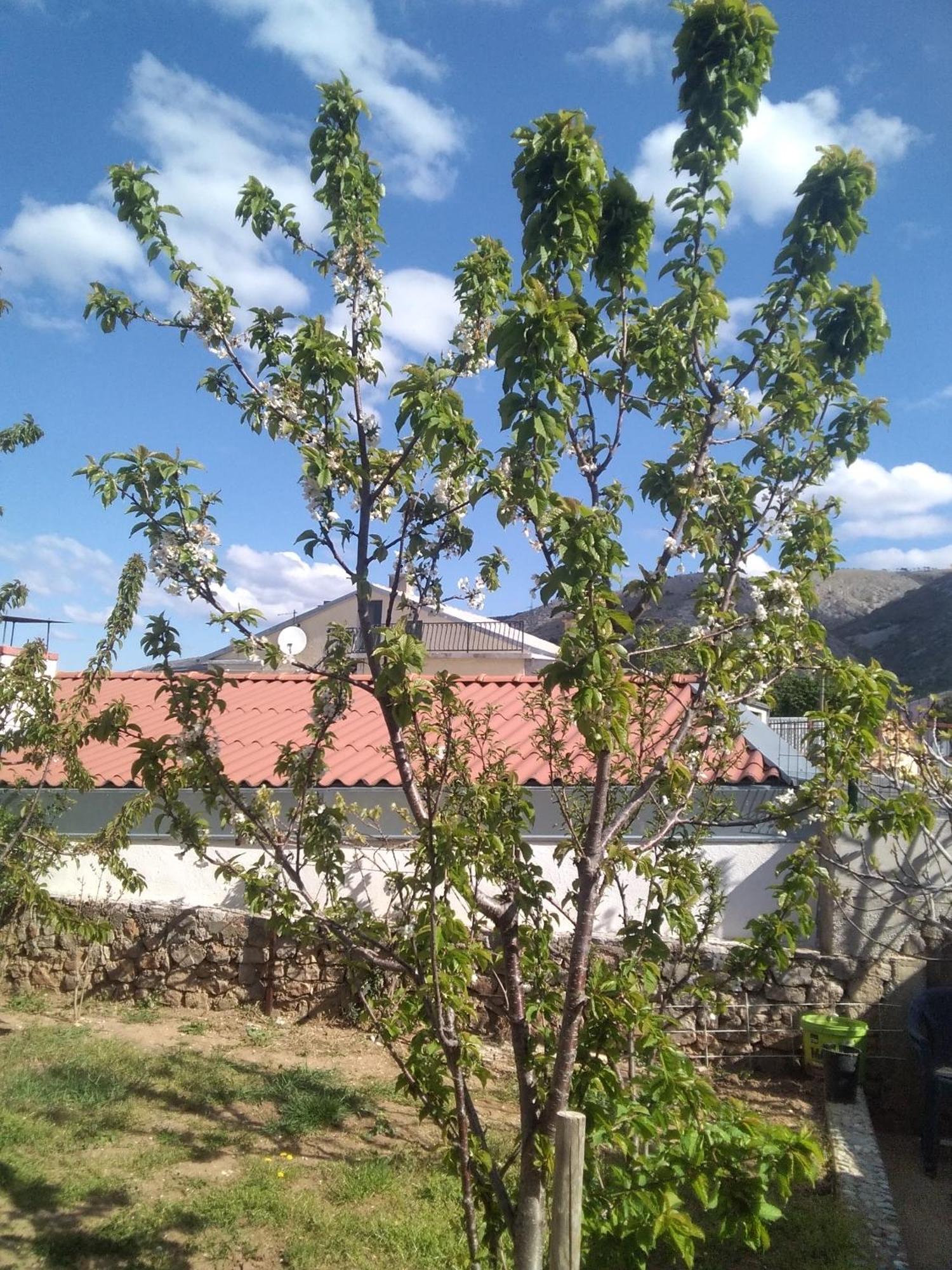 Guesthouse Martina Сень Экстерьер фото